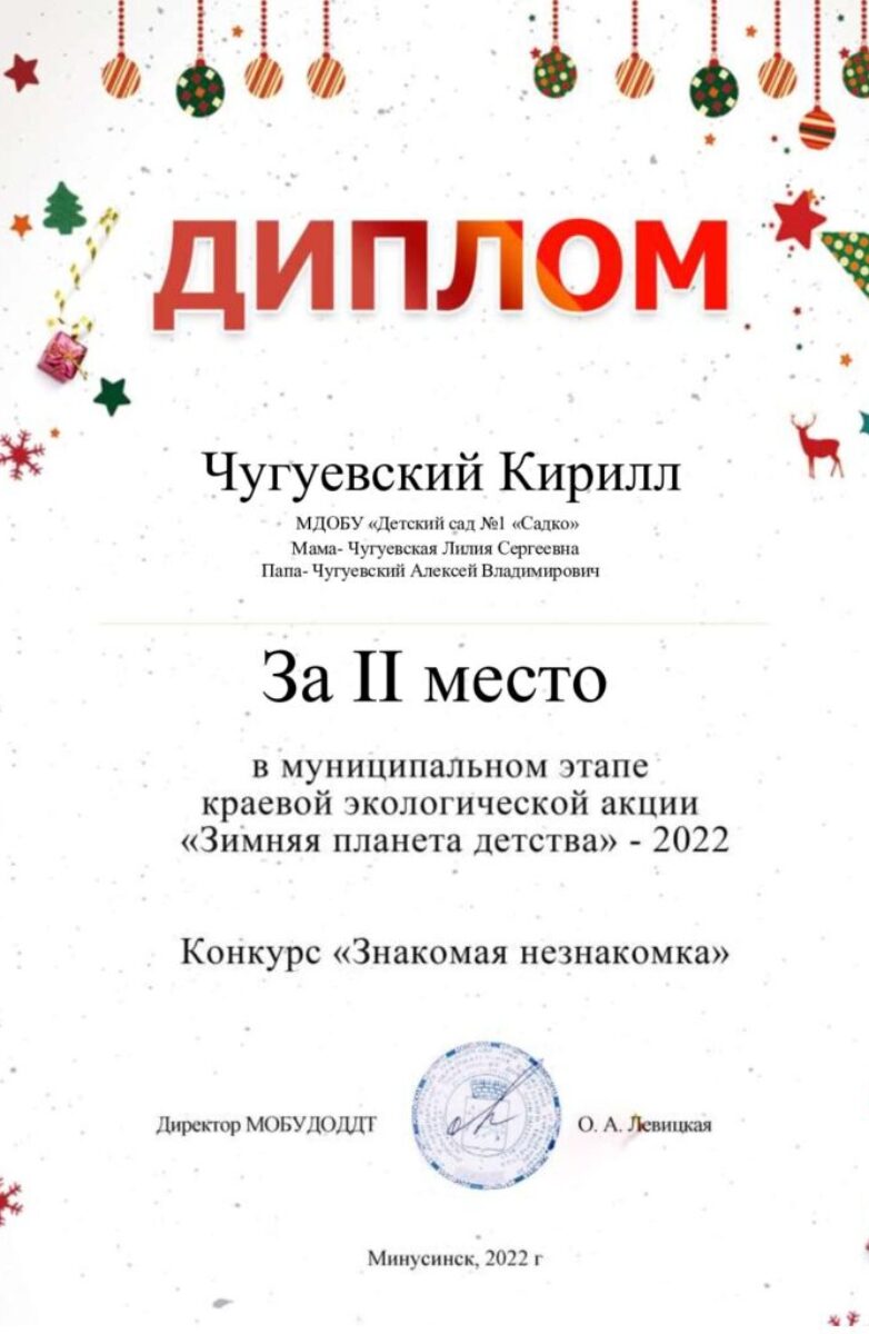 Чугуевский-Кирилл.2место.1сад-pdf-724×1024